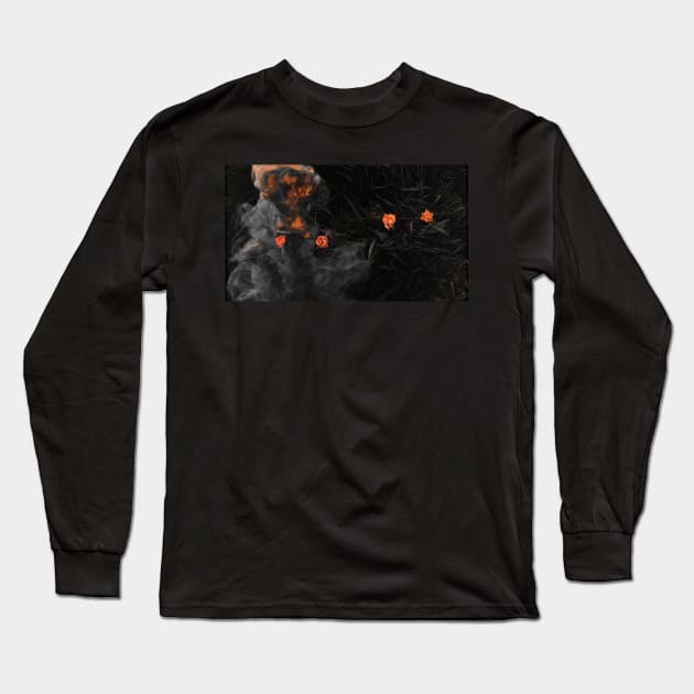Enchantment and smoke Long Sleeve T-Shirt by aadventures